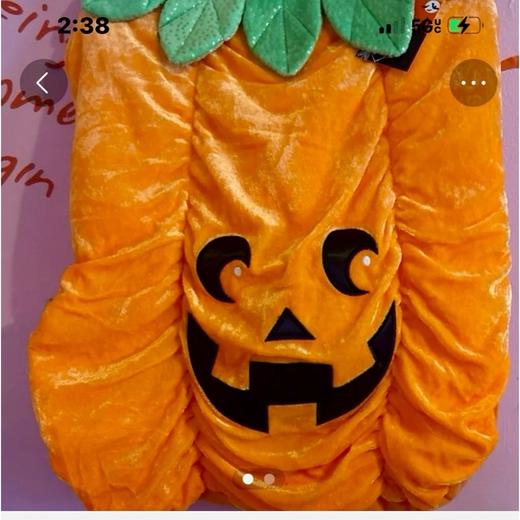 DOGGY HALLOWEEN PUMPKIN COSTUME - Picture 1 of 2